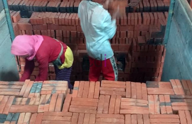 Jual Material Bata Merah di Paledang Bogor Gratis Ongkir