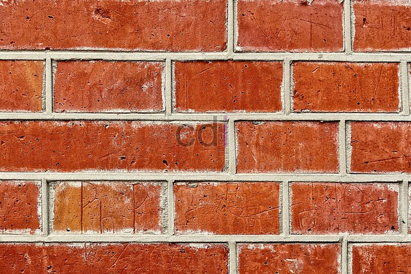 Bata Merah Expose Untuk Dinding Rumah Modern