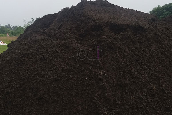 Inilah yang Dimaksud dengan Pasir Laut dan Darat