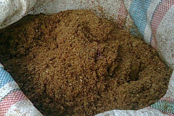 Jenis Kotoran Ayam Untuk Pupuk Tanaman