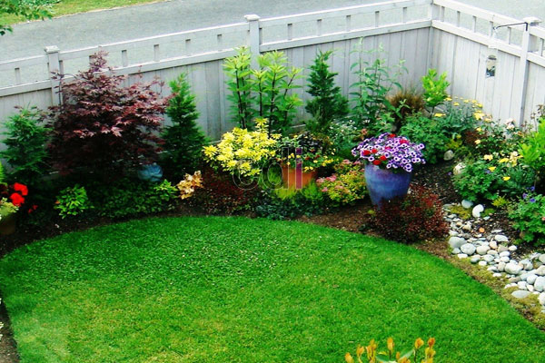 Rekomendasi Tanaman Hias untuk Taman Mini