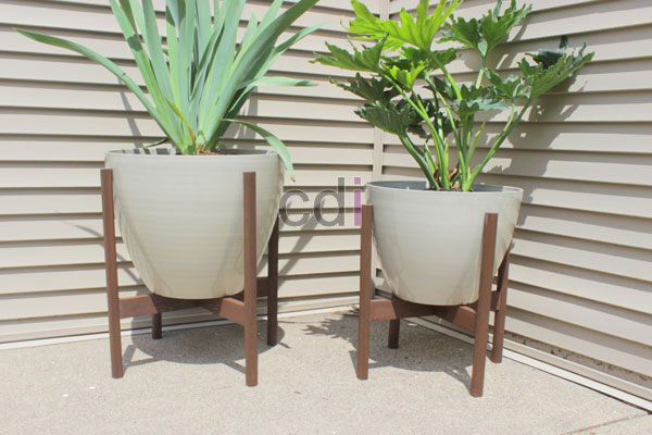 Beberapa Tanaman Hias yang Cocok untuk Interior