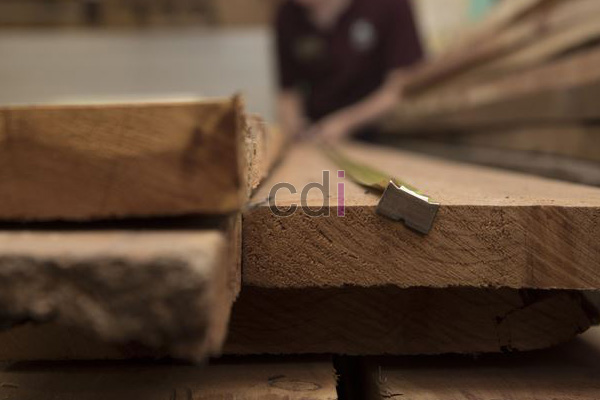Jual Balok Kayu Borneo Di Empang Bogor