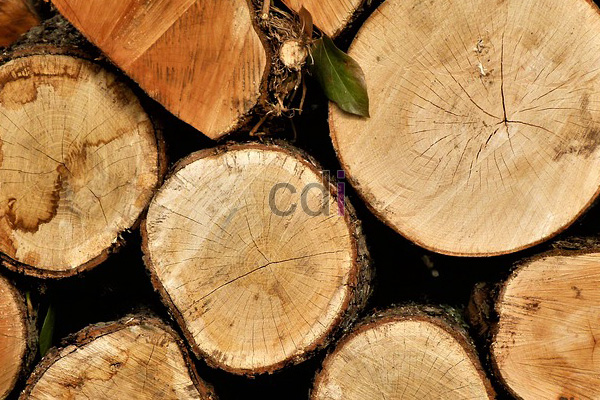 Jual Kaso Kayu Merbau Di Utan Kayu Jakarta