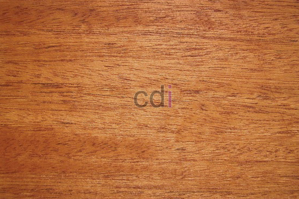 Jual Balok Kayu Kamper Di Petukangan Jakarta