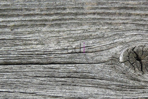 Jual Reng Kayu Albasia Di Cilamaya Kulon Karawang