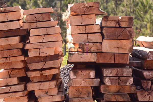 Jual Kaso Kayu Meranti Super Di Harjamukti Depok