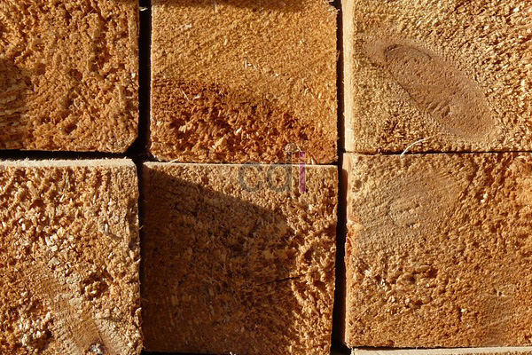 Jual Kaso Kayu Kamper Di Pengadegan Jakarta