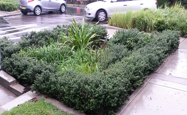 Jasa Pembuatan Taman Rumah Modern Di Jayakerta Karawang