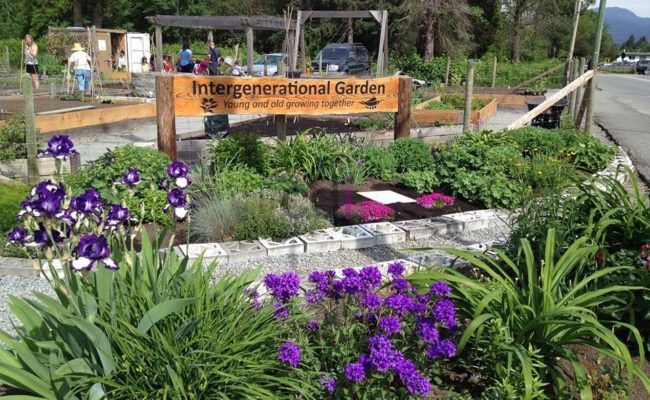 Jasa Pembuatan Taman Rumah Modern Di Cikaret Bogor