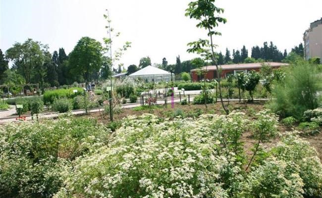 Jasa Pembuatan Taman Minimalis Di Cengkareng Jakarta