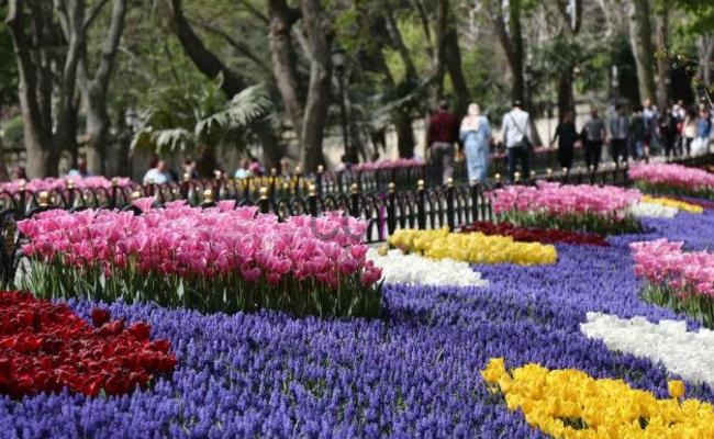 Jasa Pembuatan Taman Minimalis Di Wijaya Kusuma Jakarta